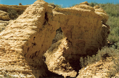 A rock formation in the fossil beds