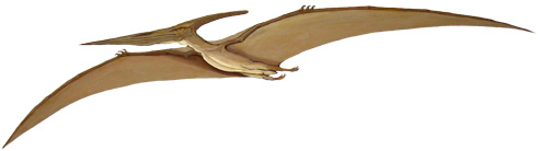 Pteranodon-Mural